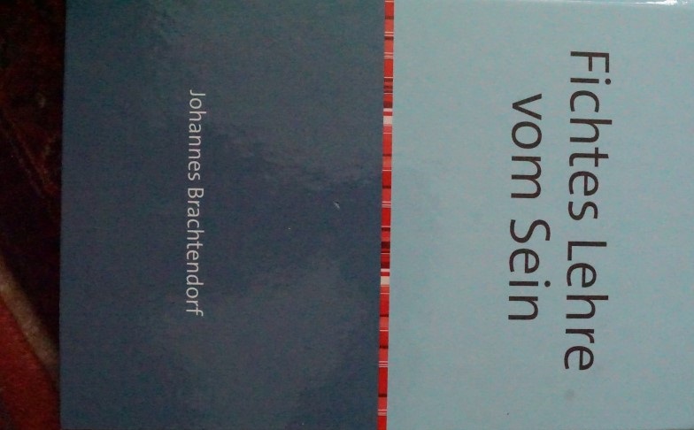 Fichtes Lerne vom Sein