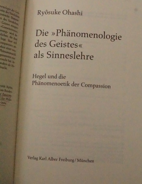 	Die Phänomenologie des Geistes als Sinneslehre