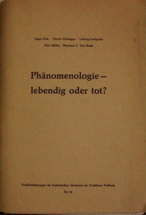 Phänomenologie - lebendig oder tot ?