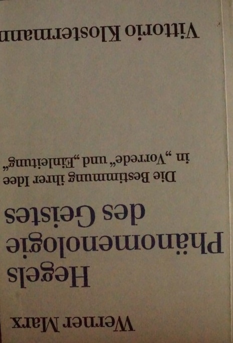 Hegels Phänomenologie des Geistes