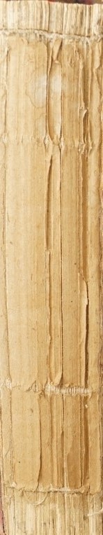 Chinese and Englisch Vocabulary in the