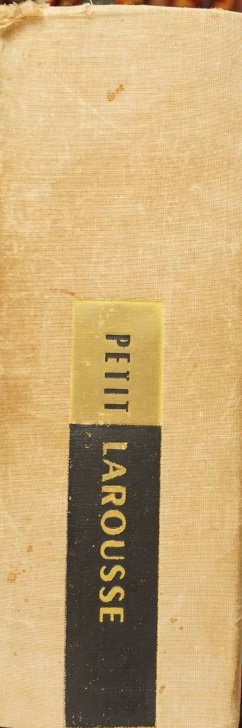 Petit Larousse - Dictionaire Encyclopédique pour tous