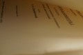 DSC03077.jpg